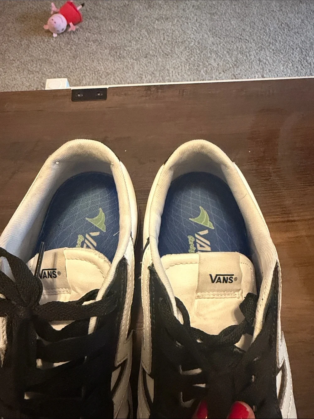 Vans kids low